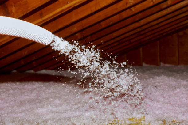 Best DIY Insulation Kits and Guidance in Berkeley, CA