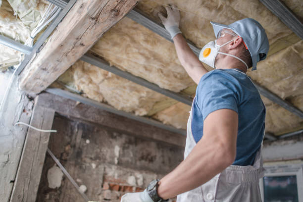 Best Cellulose Insulation in Berkeley, CA