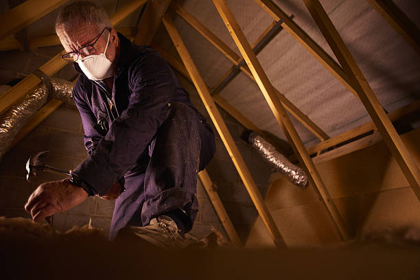 Professional Insulation Contractor in Berkeley, CA